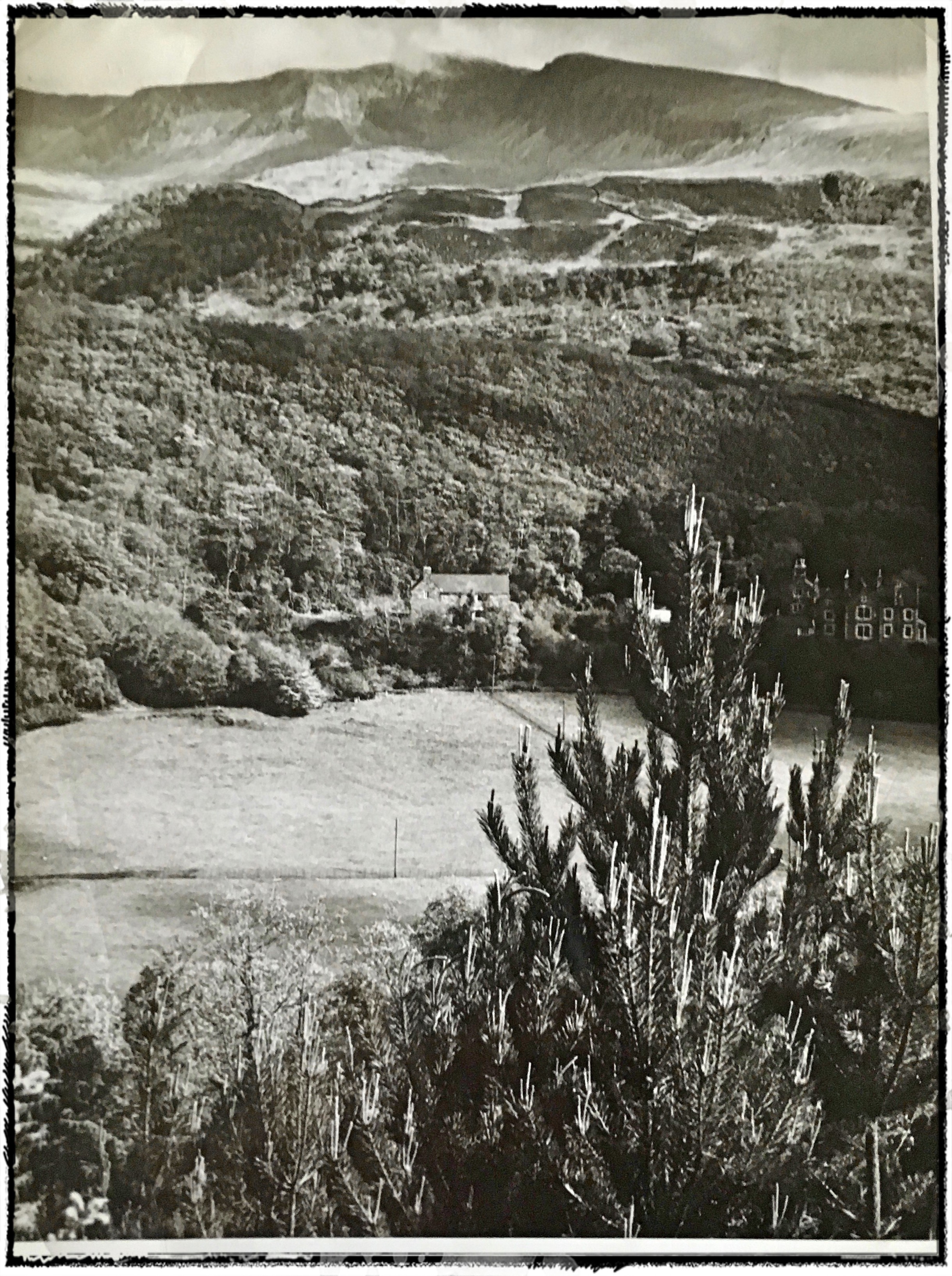 from the bigview_Fotor