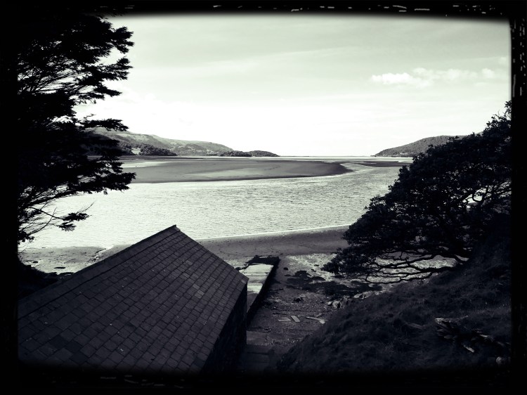 IMG_1761_Fotor_Fotor